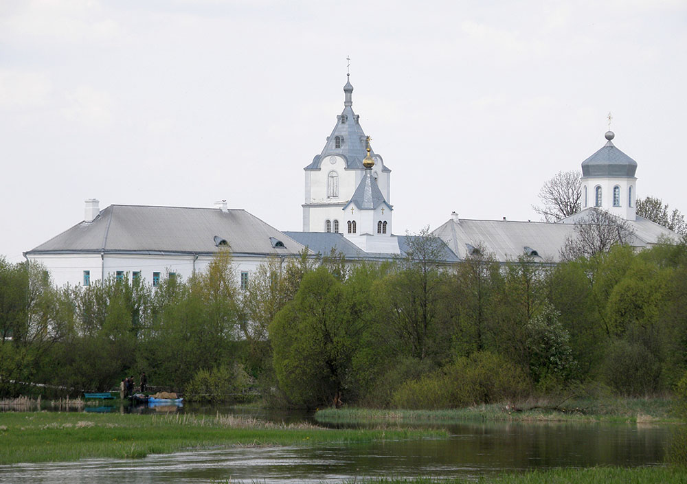 Мильці